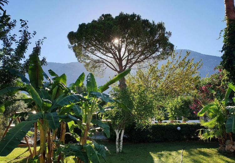 Gokcen Apartments Oludeniz Exterior photo
