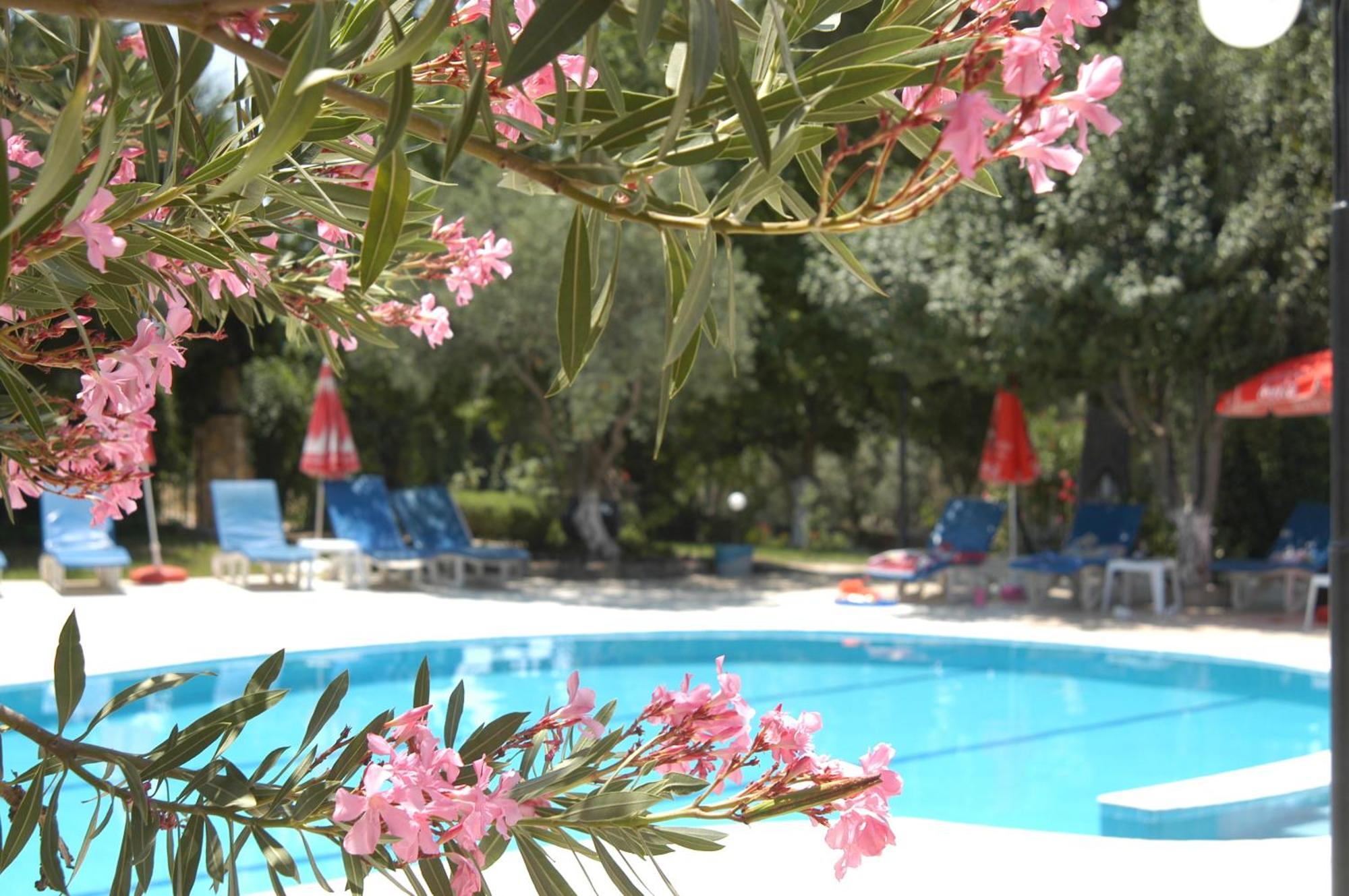 Gokcen Apartments Oludeniz Exterior photo